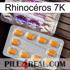 Rhinocéros 7K new12